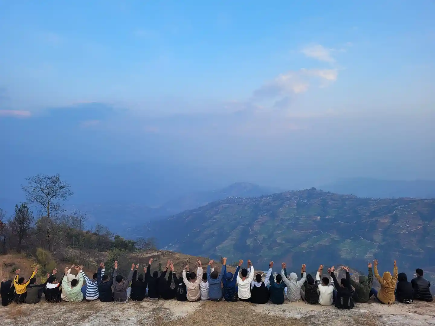 Lush forest pathway leading towards light